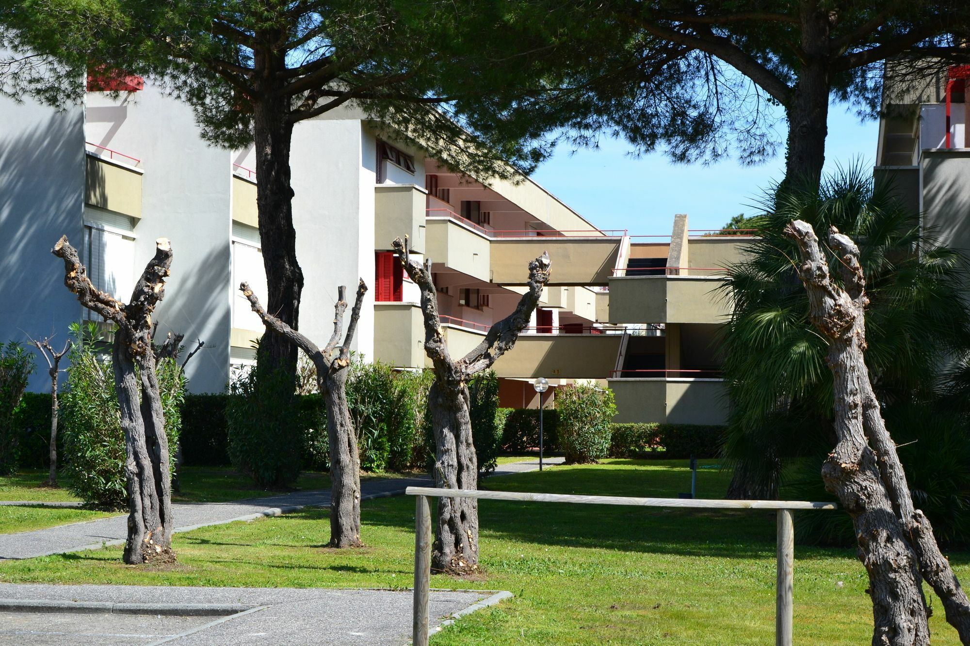 Apartments Via Dei Platani Marina Di Bibbona Eksteriør billede