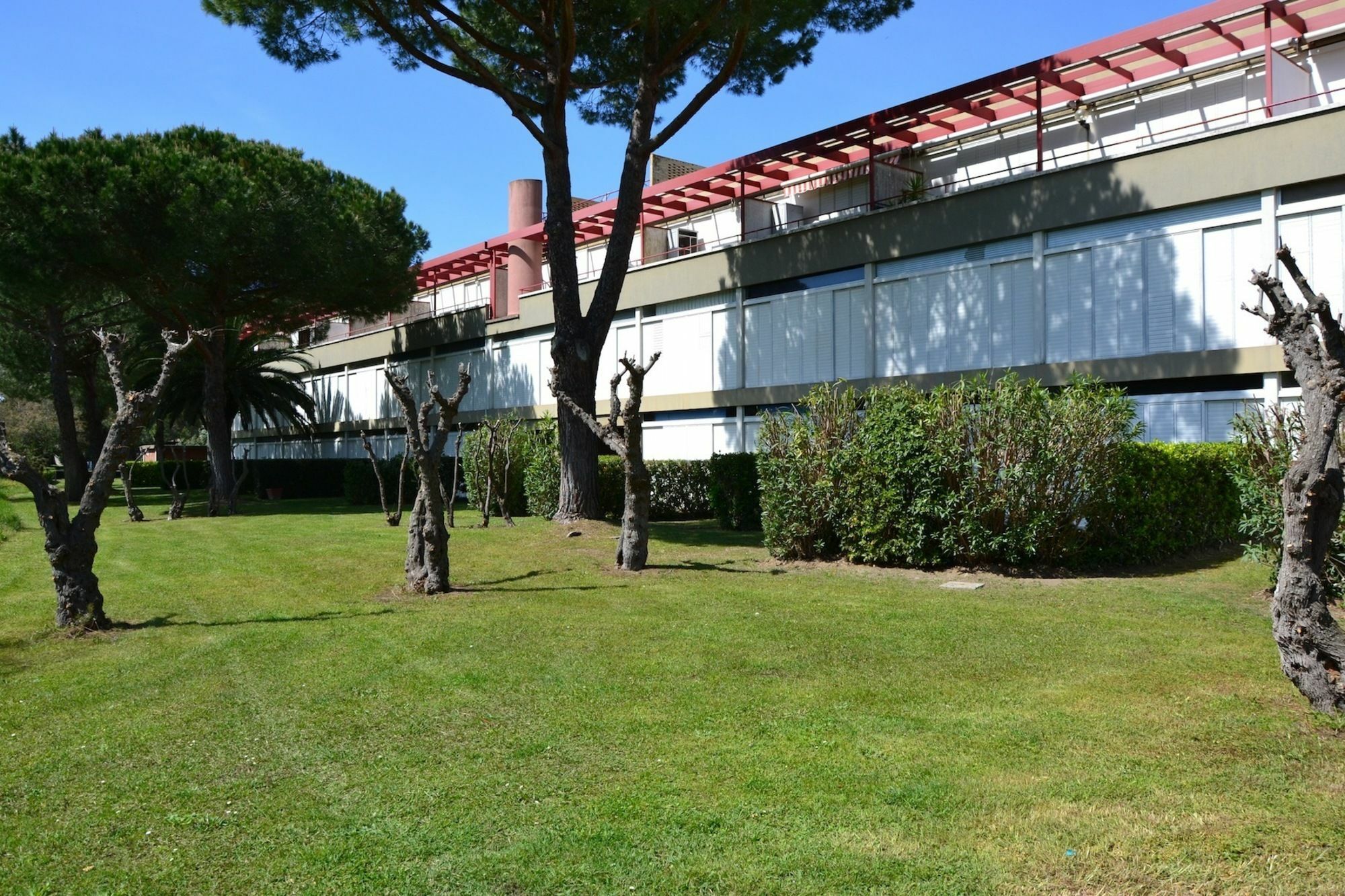 Apartments Via Dei Platani Marina Di Bibbona Eksteriør billede